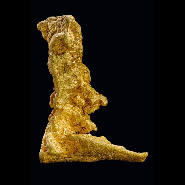 The rare, historic Boot of Cortez will be auctioned June 12 at EJ's Auction & Appraisal in Glendale, Arizona. It is the largest surviving natural gold nugget found in the Western Hemisphere. Bidders can register through June 9 at bootofcortez.com. Photo credit - Jeff Noble/jeffnoblepictures.com